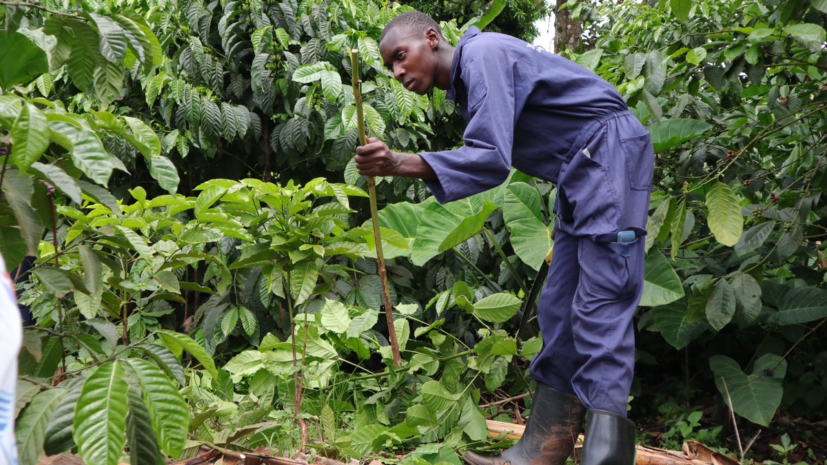 JKCC GENERAL SUPPLIES LTD tweet media