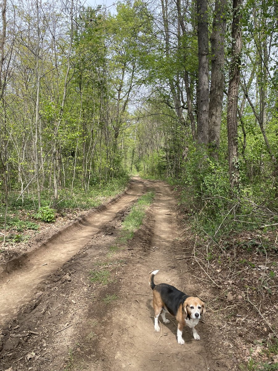 Earthbased.soul tweet media