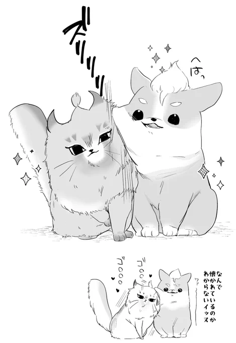 🐱🐶 