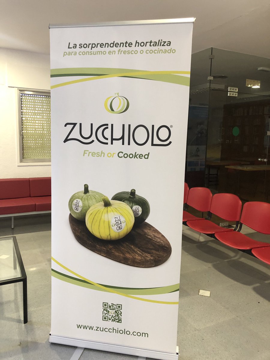 fruittoday's tweet photo. Fruto del trabajo de mejora, Zucchiolo se presenta en dos colores novedosos, amarillo y verde claro, y con un sabor más dulce #agricultura https://t.co/BlIjJCvKmY