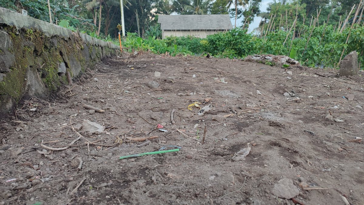 Kasih nafas dulu, sebelum persemaian tiba. 

Lokasi ini tadinya gundukan sampah. 

#rurallife 
#petanigadungan