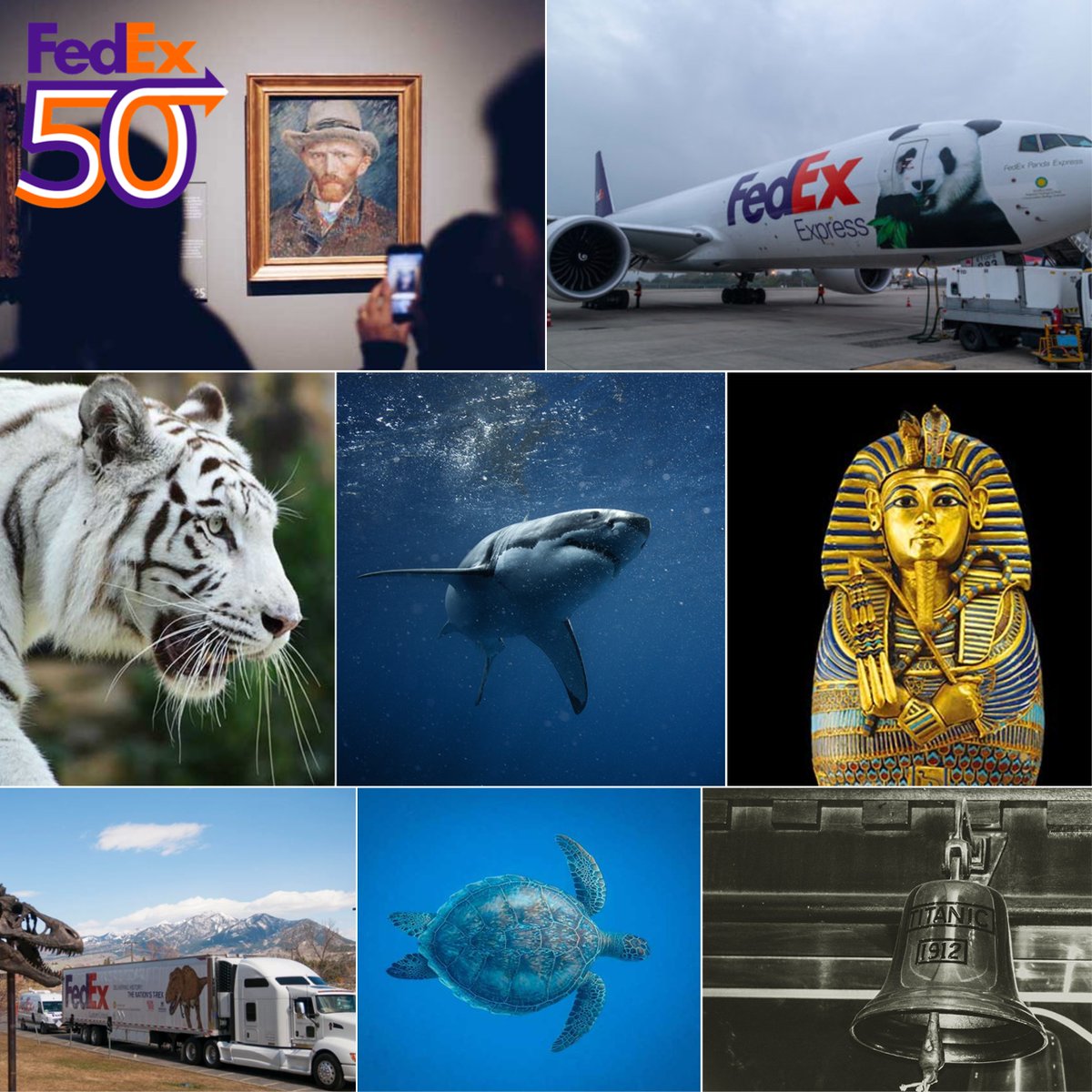 FedExEurope's tweet photo. Our 50-year history has seen many extraordinary shipments, but few beat the 13-foot shark from the film Jaws. It was packaged in a 15-foot casket and transported from Florida to Martha's Vineyard, Massachusetts, where the film was shot in 1974.
#FedEx50 https://t.co/NcPUuXc07z