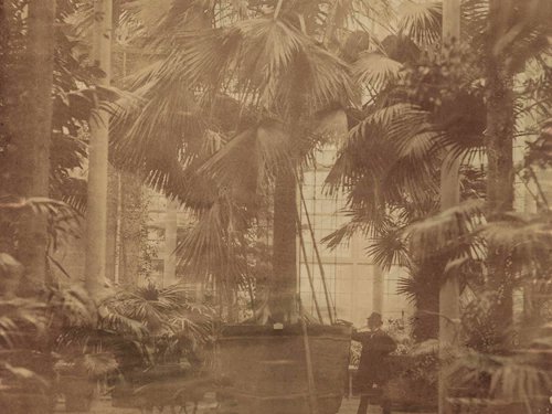 Very cool fully-funded PhD at Bristol &amp; <a href="/RBGE_Science/">@RBGE_Science</a> "Plants and pedagogy: the role of female botanical artists in medical education, 1726–1961". Open to UK &amp; International students, closes 19 May: bristol.ac.uk/media-library/…