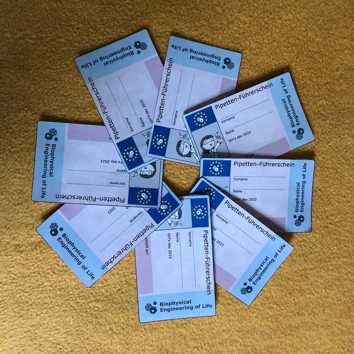 #Girlsday - it was really fun having you here in the lab!
Thank you <a href="/floppleton/">floppleton.bsky.social</a> for having shared some insight into the simulations and thank you Claudia for helping with the gel to visualize #DNAnanotech and <a href="/mpi_mr_hd/">Max Planck Institute for Medical Research</a> for the organization!
Looking forward to next year !!!