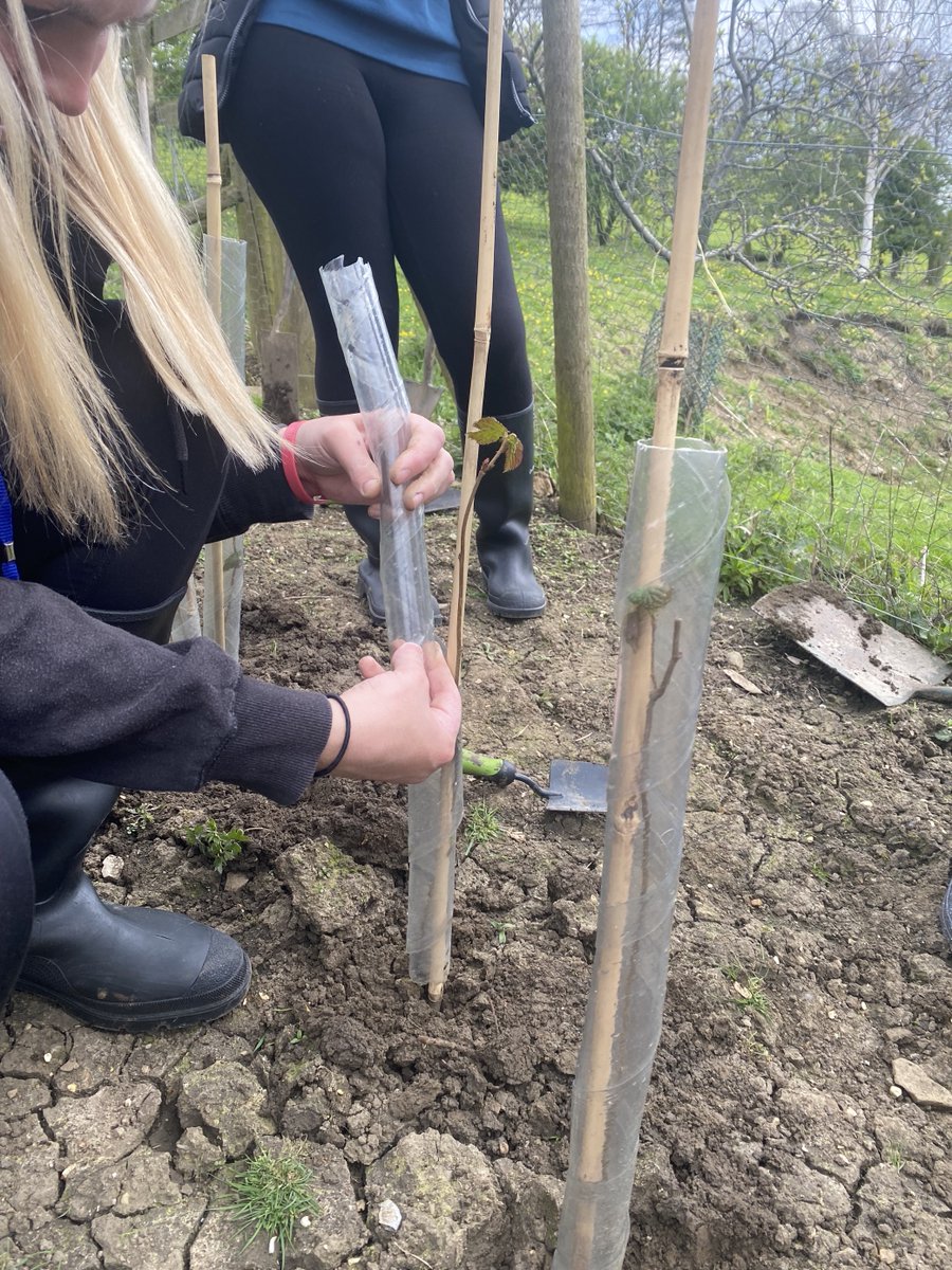 cravencollege's tweet photo. Level 1 Animal Studies students took part in a masterclass in tree planting with Gillian Thom, one of our horticulture and conservation specialists. 

Read the full story here: https://t.co/8UMAdNT7hx

#CravenCollege #Skipton https://t.co/9dUKpXQOlH