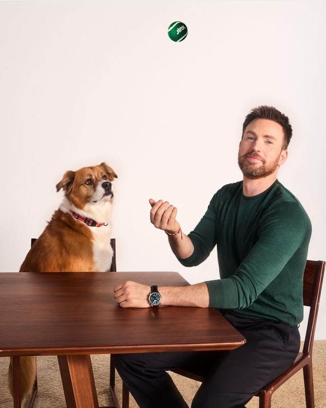 Chris Evans' Quote Strive to be the man your dog thinks you are.