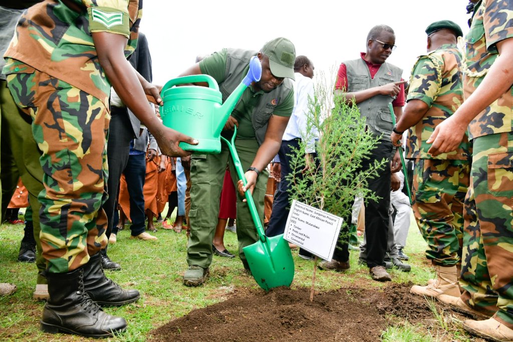 KenGenKenya's tweet photo. Today, we join @EnergyMinK PS @AlexKWachira, @Environment_Ke PS Mr. Kimotho Kimani and @County19Nyeri Governor H.E Mutahi Kahiga to launch the “Adopt a forest project” campaign at Gathiuru Forest-Burguret Block in Nyeri County. #KenGenTreePanting #JazaMiti #SustainableKenGen ^TK https://t.co/SDielaEvSK