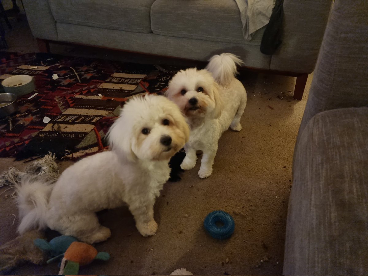 Michael Toole 🇺🇦 @profmiketoole.bsky.social tweet media