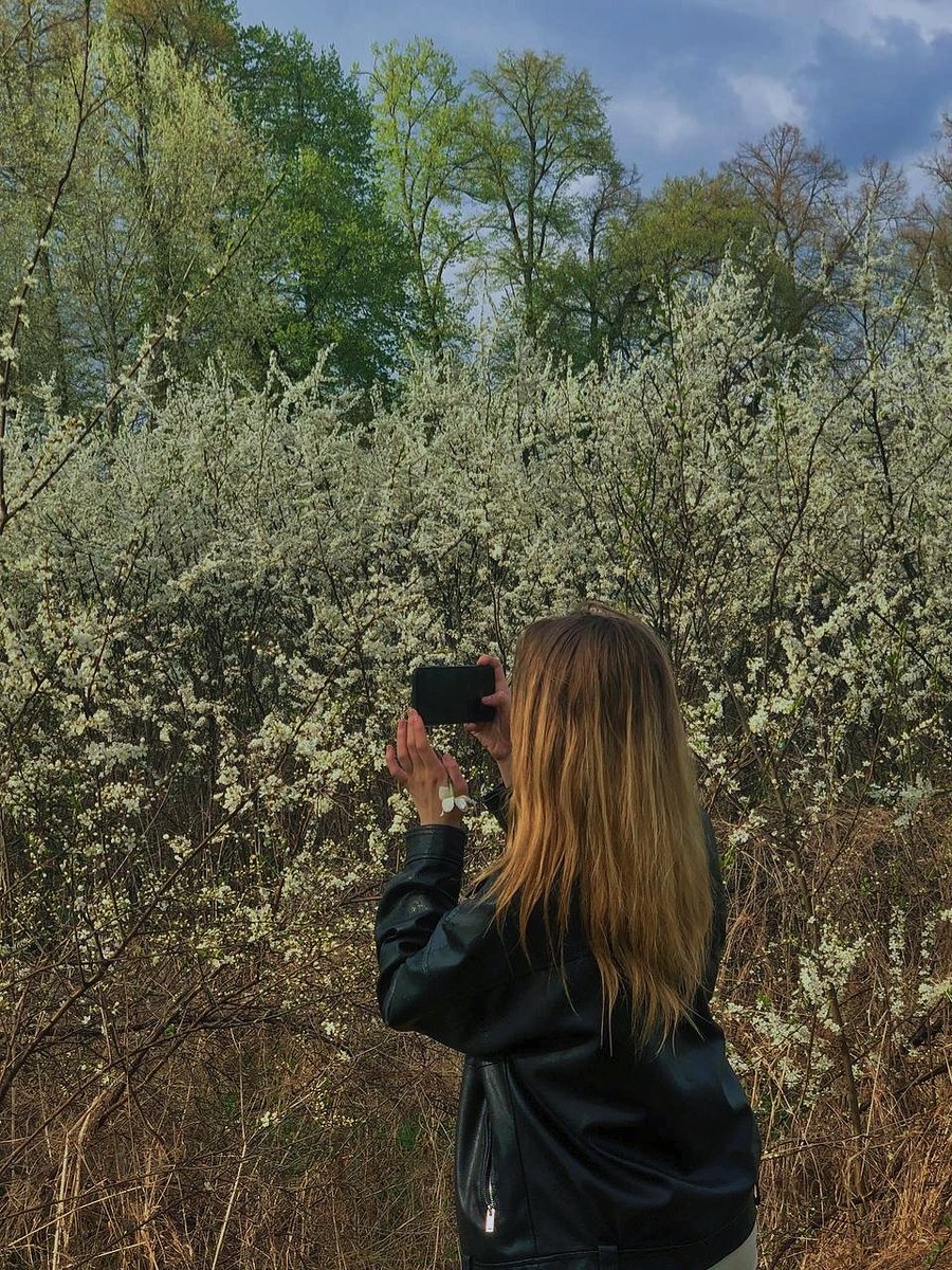 lallibomb's tweet photo. Меня сфотала ученица, пока я фотала деревья https://t.co/fccDerKDGj