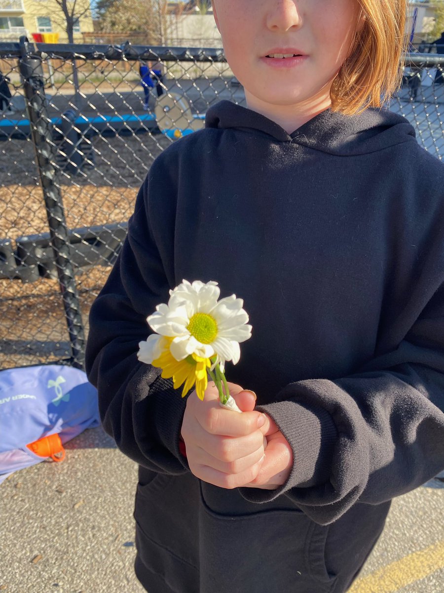 MsSansone1's tweet photo. What a lovely surprise this morning from my beautiful grade 3 student 🌼🤍✨ #ThoughtfulThursday #KindnessMattersッ https://t.co/idXkLu3hRf