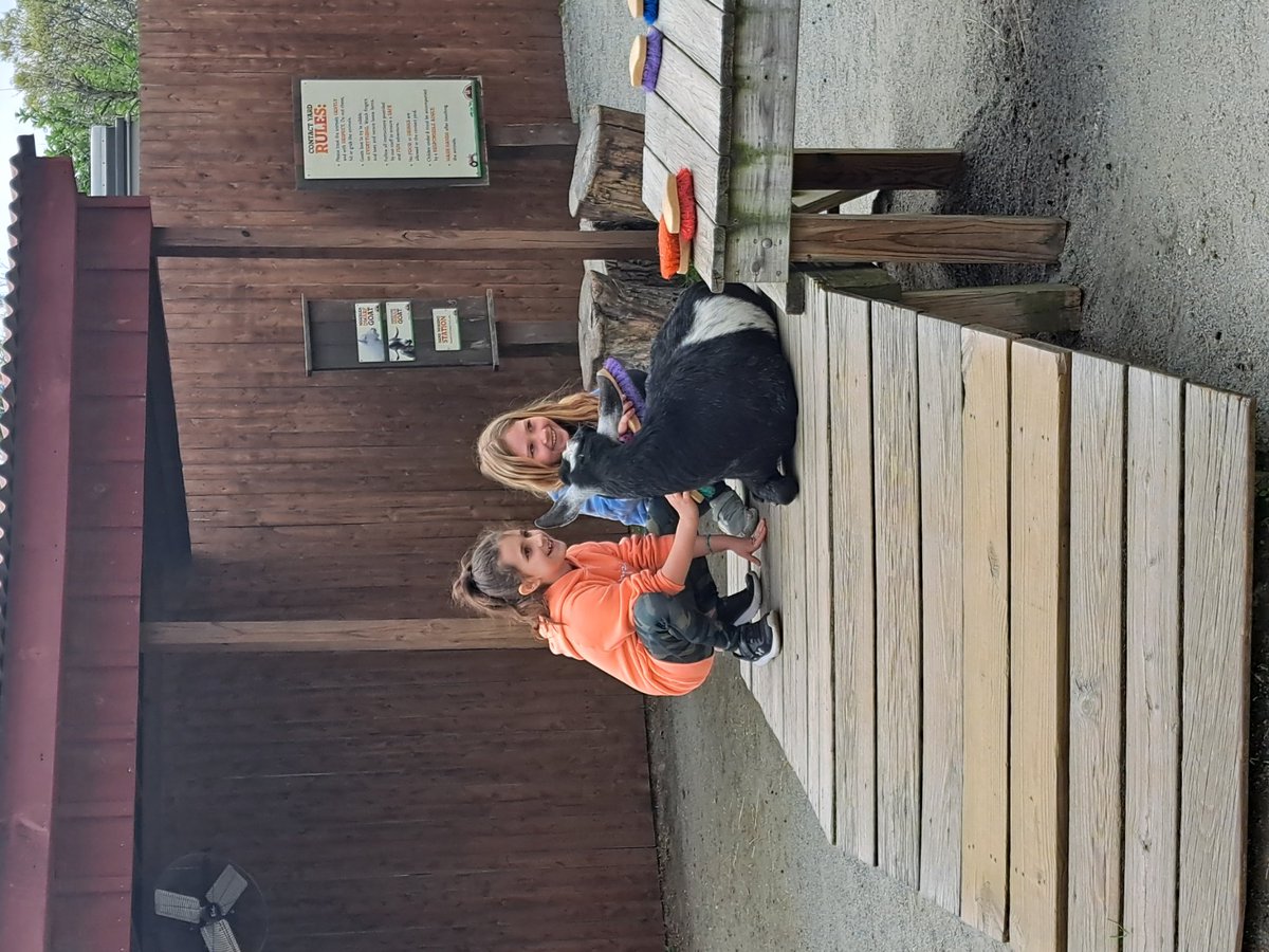 Mrs. Ryan tweet media