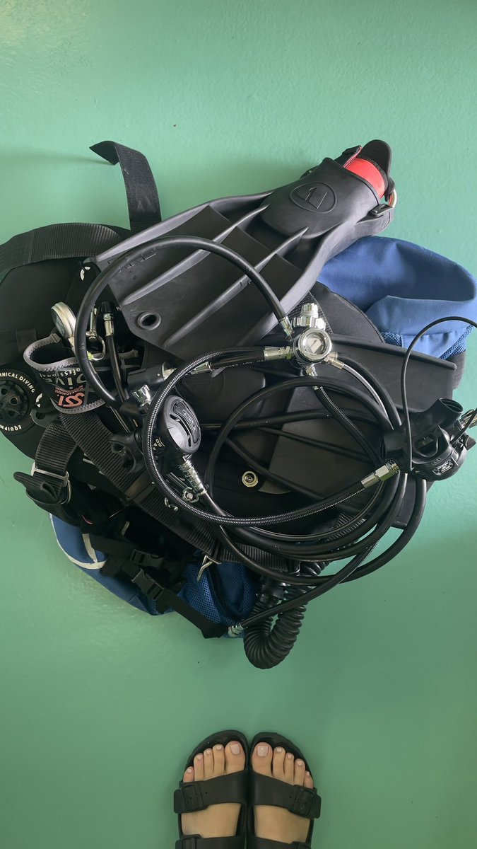 Nadine Bauer tweet media