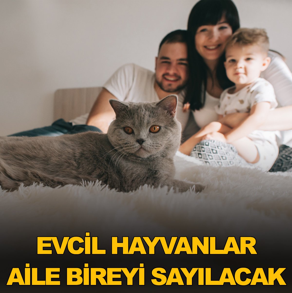 Evcil Hayvanlar Aile Bireyi Sayılacak
kedici.com.tr/post.php?ptype…