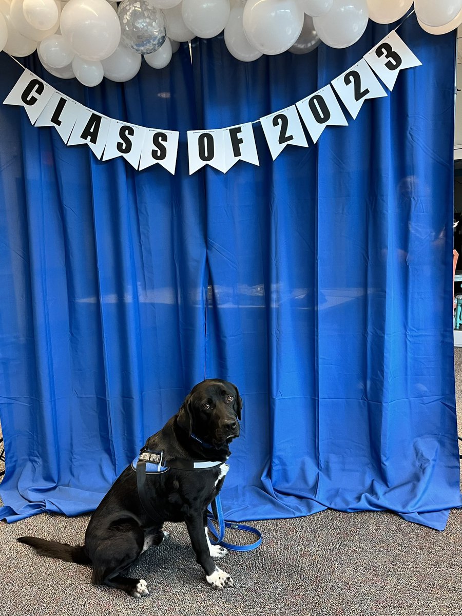 LHS Counselors tweet media