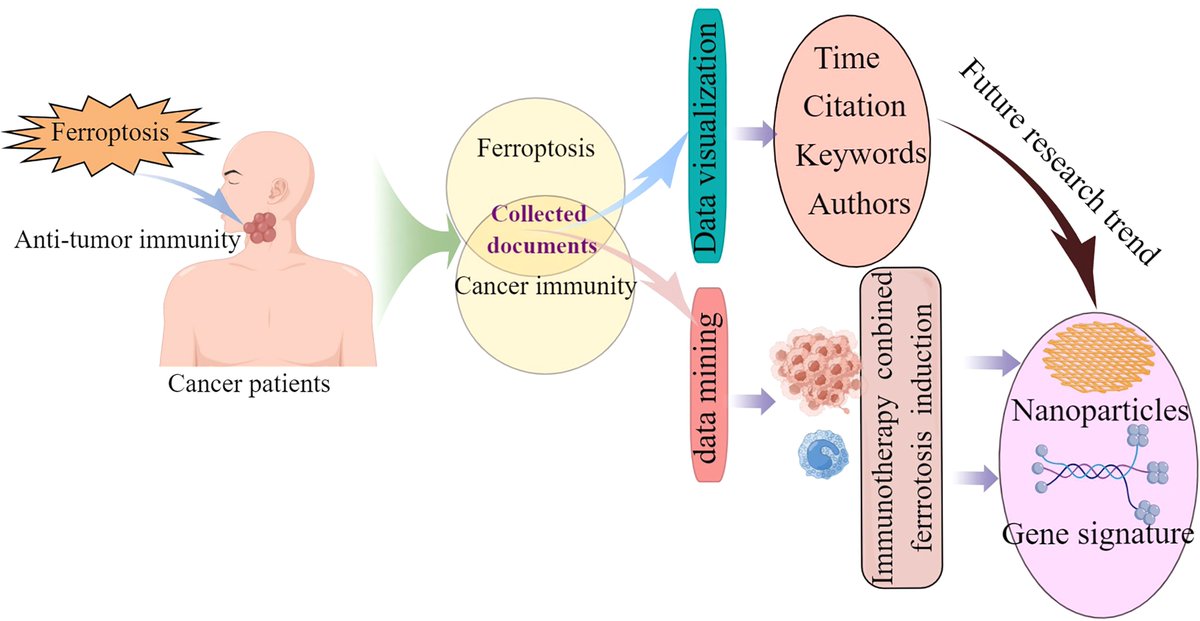 Interesting analysis of #ferroptosis and its contribution to immunity and #immunotherapy against #cancer.
@Samirabellil @OncoLucus @oncotwitts 
frontiersin.org/articles/10.33…