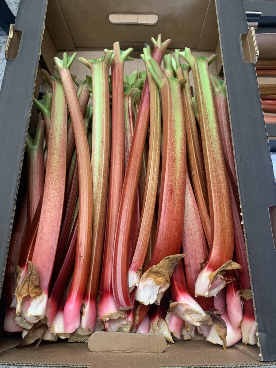 Tatws Trading 🏴🏴 tweet media