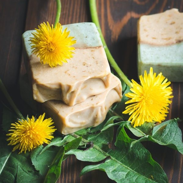 GrowForCookFerm's tweet image. Find the full recipe and instructions to make this super skin-nourishing whole plant dandelion soap here: ift.tt/Hatvl28

This dandelion soap recipe uses the whole dandelion plant, with blossoms, leaves, and roots! 🌿 🌼 Dandelion plants are … ift.tt/M6TqjZ8