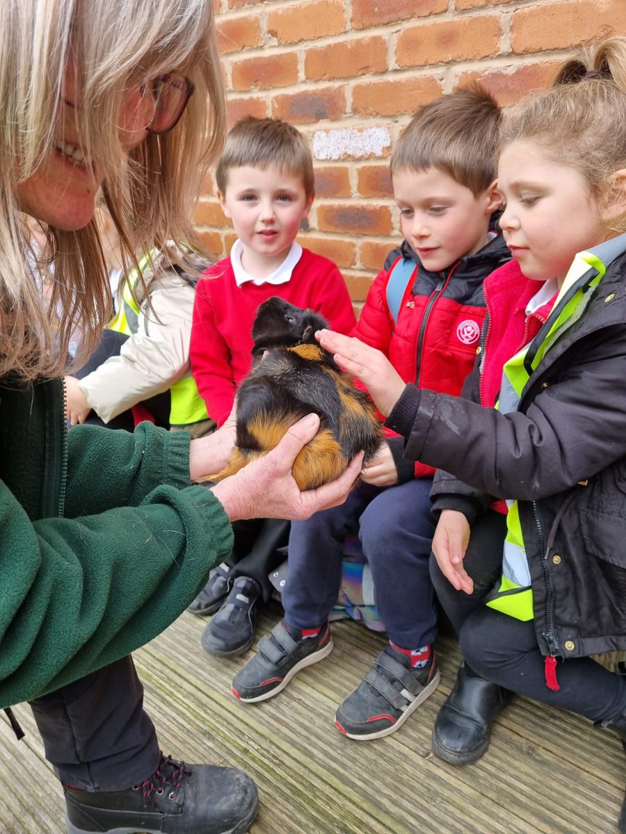 AnParkInfants's tweet image. Had a fabulous day at the Tropical Butterfly House. Hope you tell your adults all about your day. We are so proud of your behaviour and you represented Anston Park Infant School brilliantly! #apiclass4 #tropicalbutterflyhouse 🦋#amazinganimals #greatfun