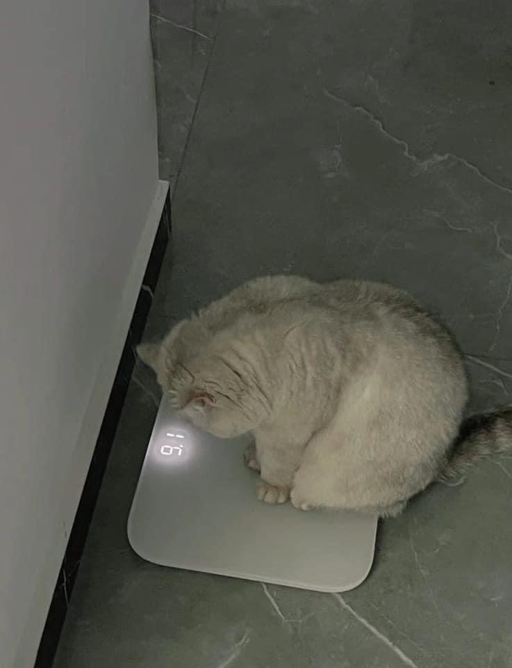 ท้อว่ะ5555555555555555