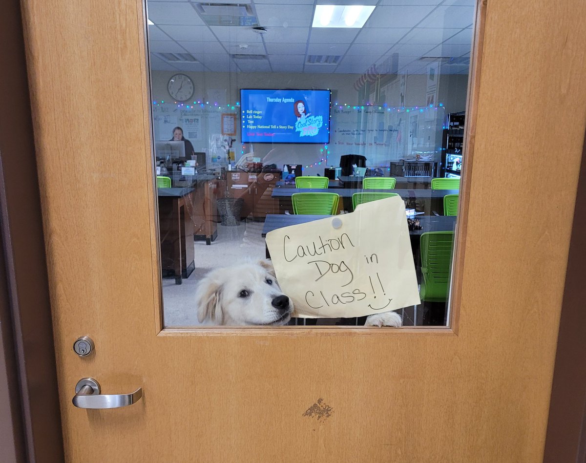 BTBOCES PTECH Health (@btbocesptechhs) on Twitter photo When your school day just took a turn for the better. Teacher's Assistant wants you to paws 🐾before entering. #NextGenTeacher <a href="/dog_rates/">WeRateDogs</a> <a href="/bt_animalsci1/">Stephanie DeMann</a> <a href="/dogrates/">i rate dogs online </a> <a href="/darth/">darth™</a> <a href="/BTBOCES_IP/">BT BOCES IP</a> <a href="/SoTierPTECH/">Southern Tier P-TECH</a> @BroomeTiogaCDC When your school day just took a turn for the better. Teacher's Assistant wants you to paws 🐾before entering. #NextGenTeacher <a href="/dog_rates/">WeRateDogs</a> <a href="/bt_animalsci1/">Stephanie DeMann</a> <a href="/dogrates/">i rate dogs online </a> <a href="/darth/">darth™</a> <a href="/BTBOCES_IP/">BT BOCES IP</a> <a href="/SoTierPTECH/">Southern Tier P-TECH</a> @BroomeTiogaCDC