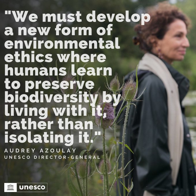 UNBiodiversity's tweet image. How do people relate to nature?🌿 

The @ipbes #ValuesAssessment presents 4 perspectives to make a new typology of values useful for decision-making &amp;amp; protecting #biodiversity. ipbes.net/the-values-ass…… 
📸@unesco

#BuildBackBiodiversity
Via @IPBES