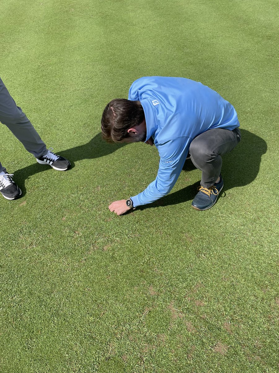 Jeff Sexton, CGCS tweet media