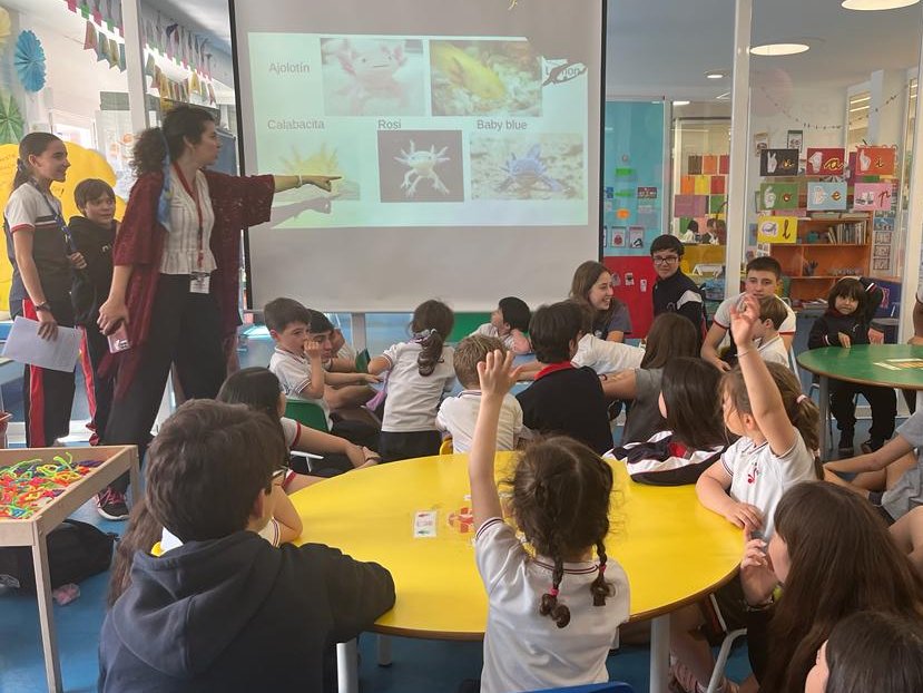colegioarcangel's tweet photo. Topos, lobos y ajolotes han sido los protagonistas de unos cuentacuentos muy especiales llevados a cabo por los alumnos de 1º de #ESO y del #ProgramaDiploma a los peques de #Infantil 3 y 4 años.
¡Qué bien lo han pasado!
#SemanadelLibro #ArcángelInternational https://t.co/5Y6YsWATQ8