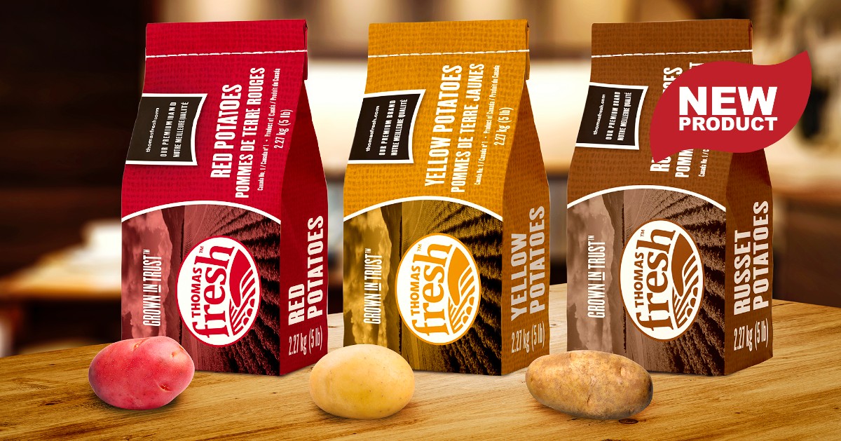 Thomas Fresh tweet media