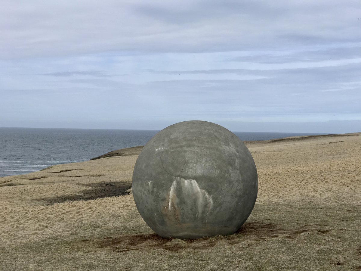 Quite Interesting tweet media