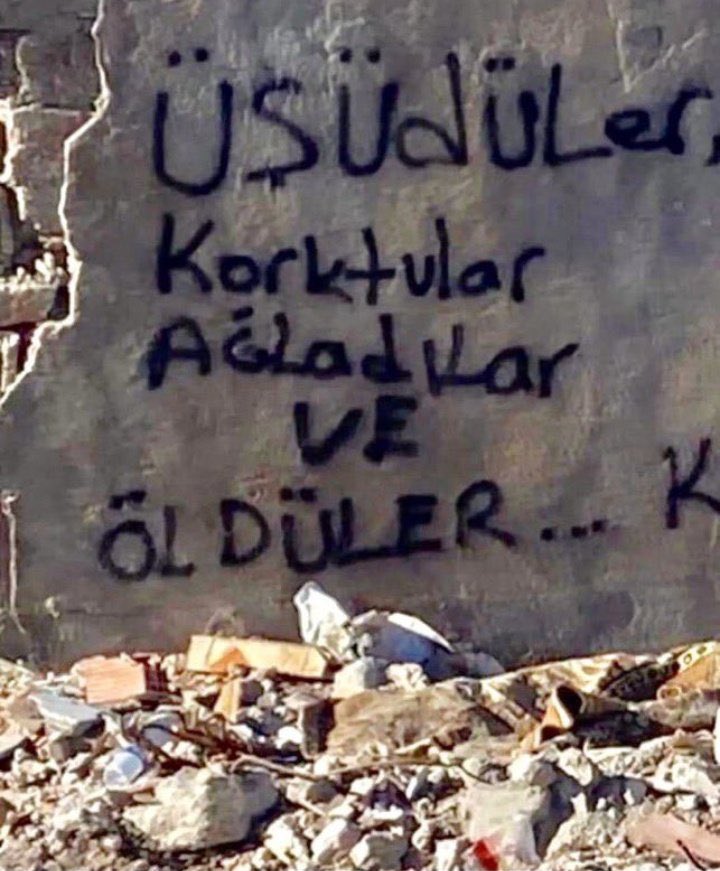 Hataylı Filozof tweet media