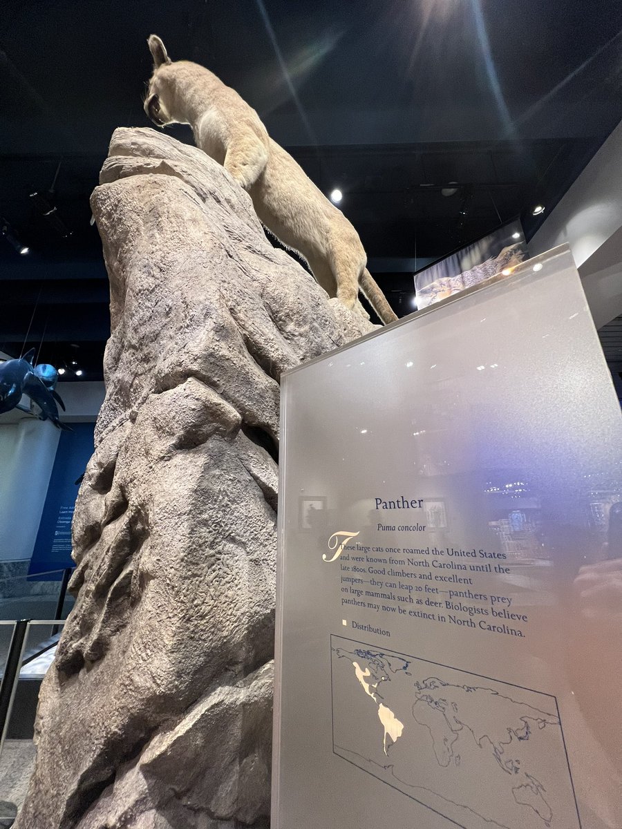 Chris Smith tweet media