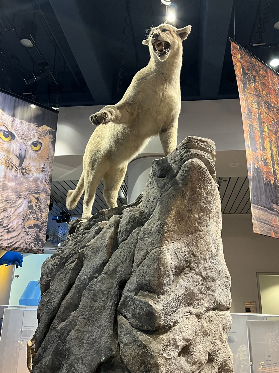 Chris Smith tweet media