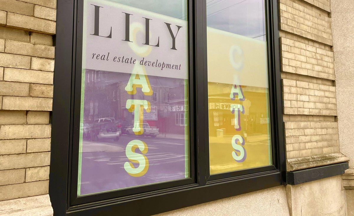 What the window cat is this? A cat cafe coming soon kitty corner from John’s Water Ice at 7th and Christian? I live a one minute walk away! You know where you can find me…