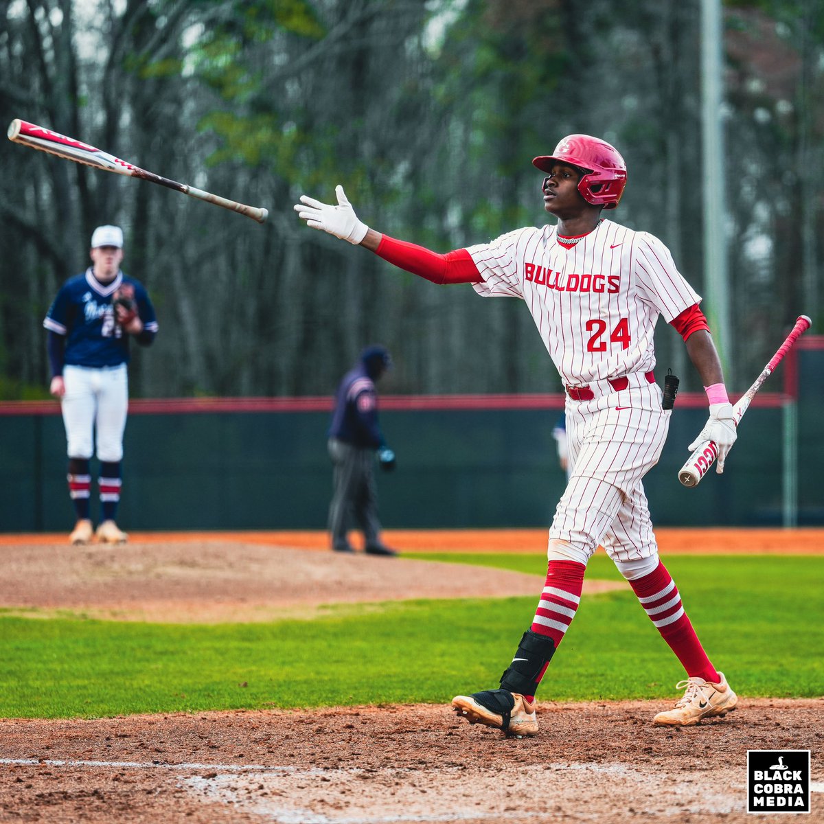 BLACK COBRA MEDIA tweet media