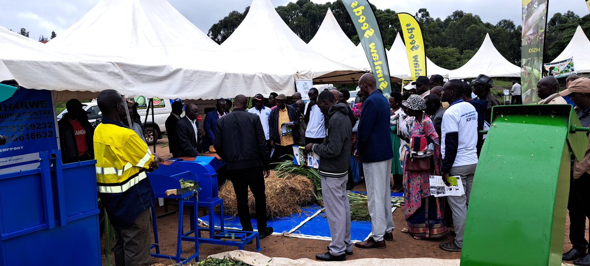 Thousands of dairy farmers joined hands with several dairy service provides at the launch of Kazo - Union. The new District is a home of more than 30 Primary cooperatives with over 2500 farmers producing half a million litres daily. Appreciation to <a href="/Agriterra/">Agriterra</a> <a href="/SNV/">..SNV</a>-TIDE Project.