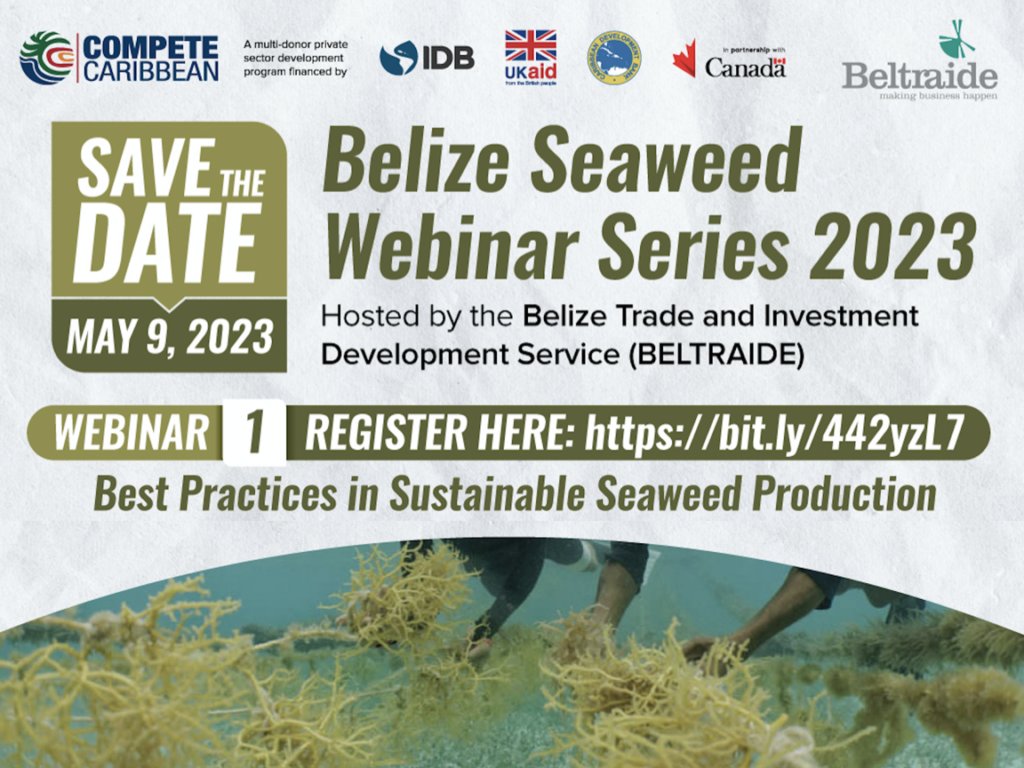 #SaveTheDate 
The Belize Seaweed Webinar Series is being hosted by BELTRAIDE on May 9, 2023.
Click the link to register:
bit.ly/442yzL7

#seaweed #cultivation #Webinar