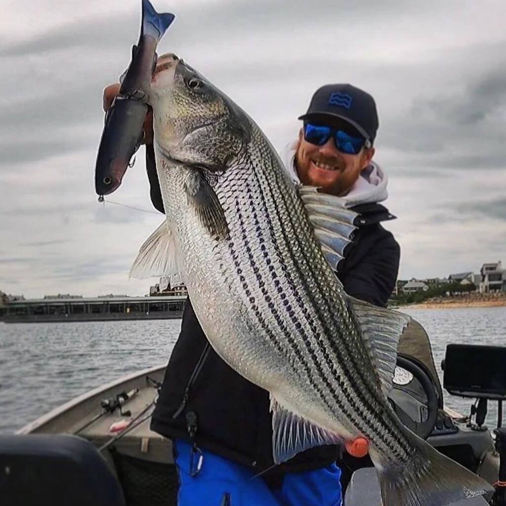 LeviathanRods's tweet photo. @gradycodd has been killing it on the Striper bite! 🦓🎣 This absolute stud broke Grady’s previous PB 🏆🏆 the secret? Burning 250s and hanging on!
.
.
👉 https://t.co/7nP0JJgfdN 👈
.
.
.
.
#leviathanrods #customrods #swimbaituniverse #swimbaitculture #s… https://t.co/pAWrS8OPPR https://t.co/aRIA3saX77