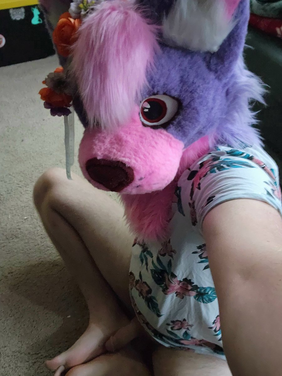 SpicySneek's tweet photo. Gah!! You caught me playing with my dick on my paws 😳 Uhm.. well since you are here can I see your paws?~

#murrsuit #murrsuiter #nsfwfurry #nsfwpaws #feet https://t.co/J60yxb080s