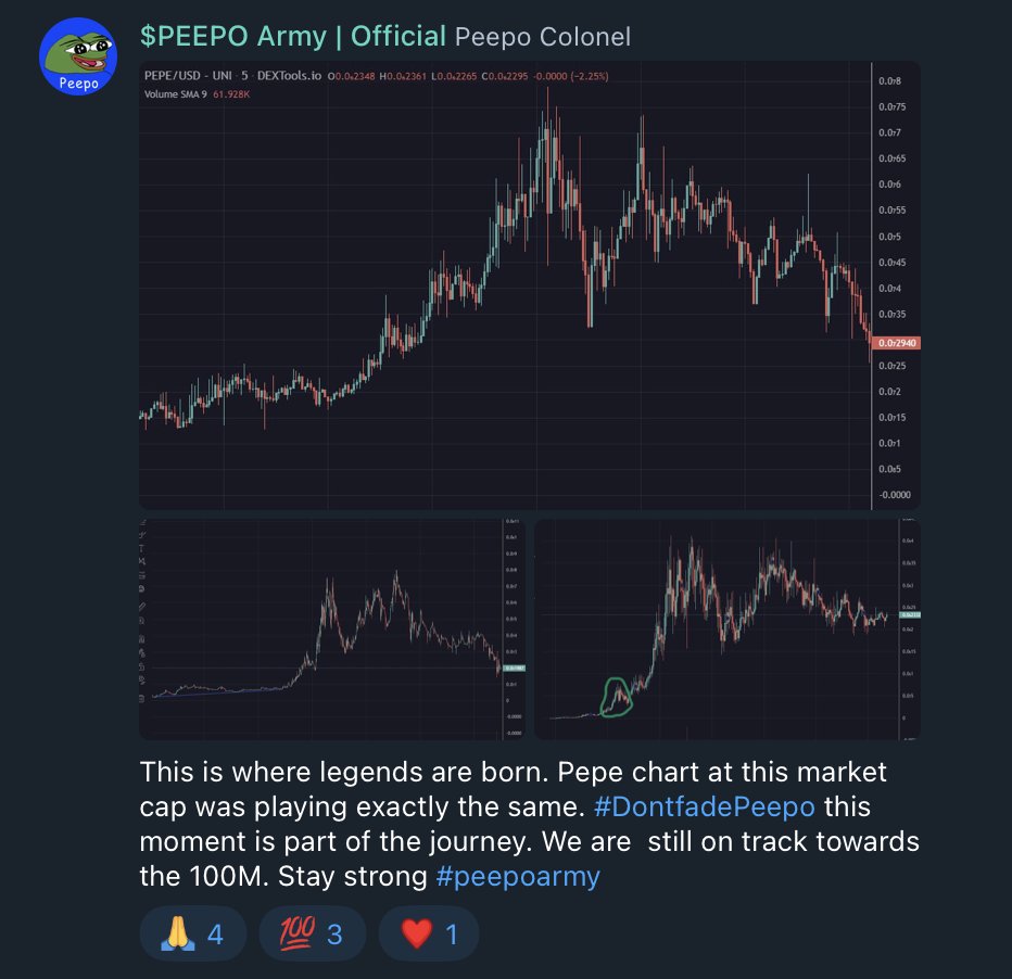 DiosKEK's tweet image. This is where legends are born.

$PEPE chart at this market cap was playing out exactly the same. 

This moment is part of the journey, frens. 

We are still on track towards the 100M, and yes we dare say more. 

Stay strong #peepoarmy

$PEPE ❤️ $PEEPO

#DontfadePeepo