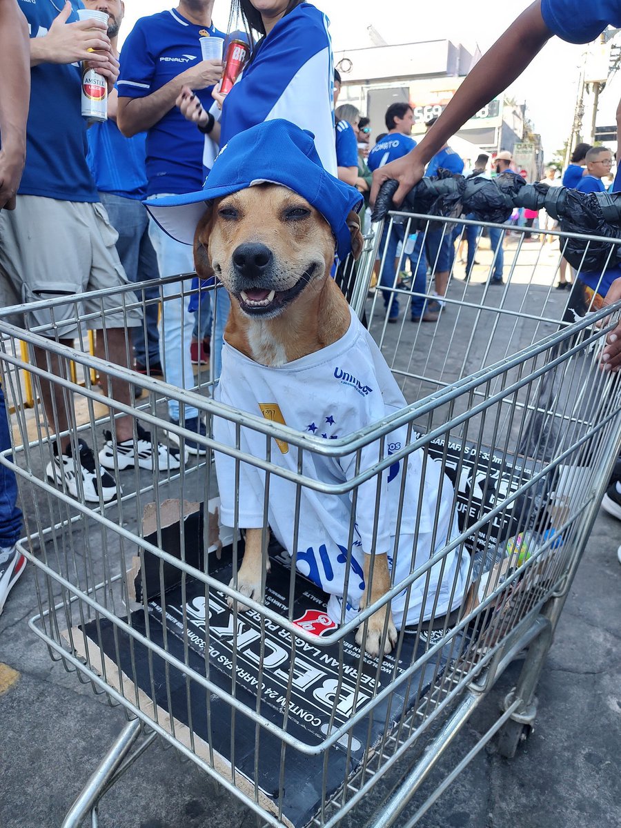nocontextfooty's tweet photo. https://t.co/pNQL2vM5CH