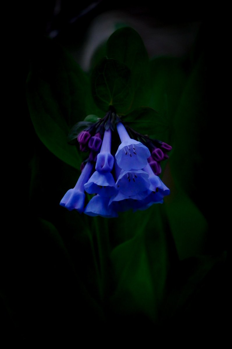 Believe (@chimae_all) on Twitter photo 