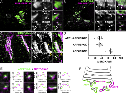 Journal of Cell Biology tweet media