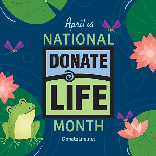 LevitinMd's tweet photo. April  is National Donate a Life Month. This month helps raise awareness about  donation, encourages Americans to register as organ, eye, and tissue  donors, and honors those that have saved lives through the gift of  donation. #VBC #NationalDonateLifeMonth https://t.co/uSrmqN7CSt
