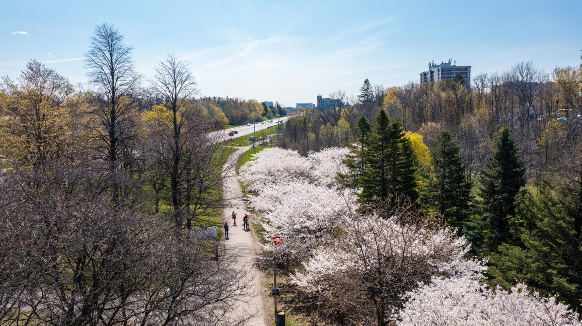 Patrick Brown on Twitter "RT CityBrampton Have you checked out the