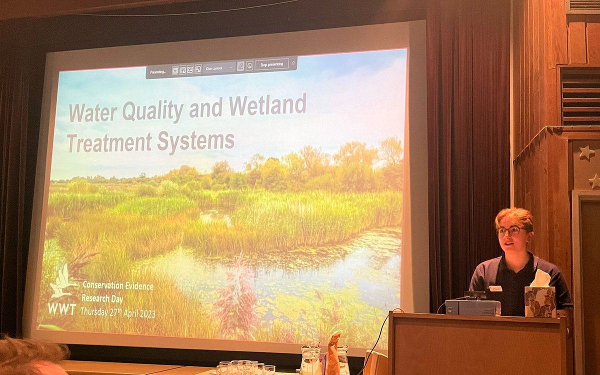 Great to make my presentation debut at the #WWTResearch Conservation Evidence Research Day talking about Wetland Treatment Systems @WWTworldwide 💧 Shout-out to Team WTS @Laurabees01 @lucy_pella @SianKTaylor and a huge congratulations to all the @WWTconservation speakers!