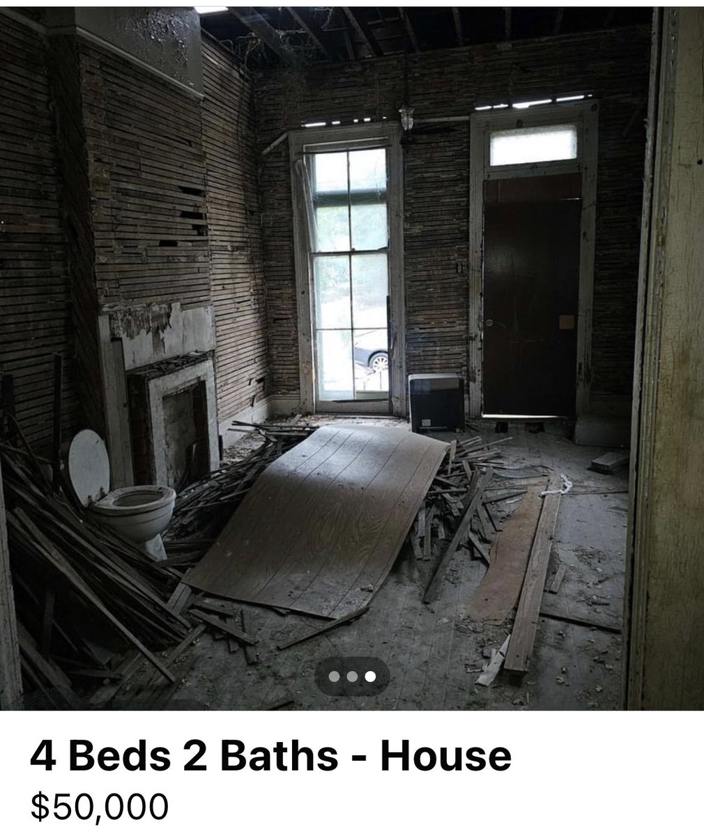 Isabella del Rio on Twitter "Would you invest?"