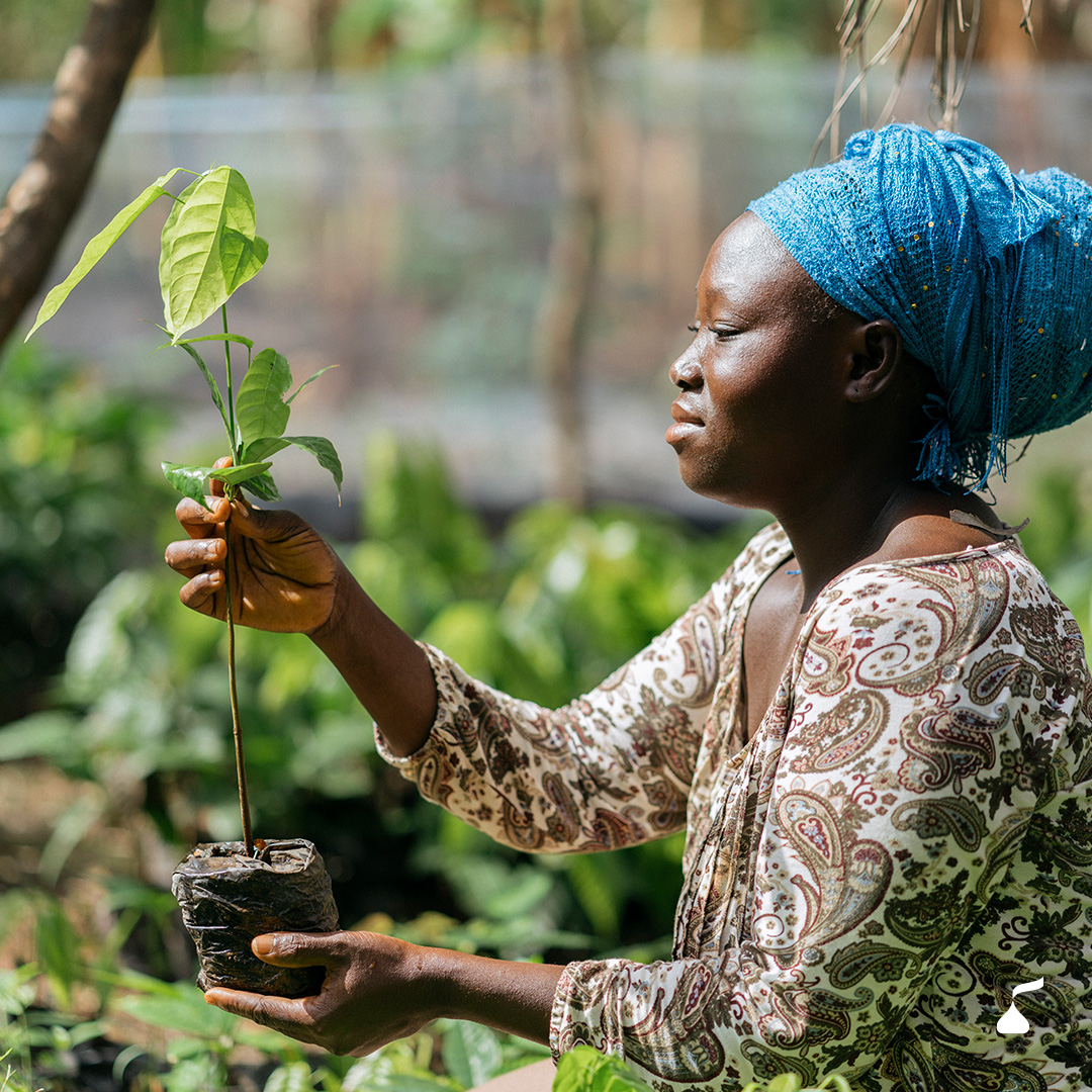 HersheyCompany's tweet photo. Building on our #CocoaForGood strategy and supporting the objectives included in Côte d'Ivoire’s National Strategy for Sustainable Cocoa, Hershey is proud to launch our Income Accelerator in partnership with the @ConseilFekko, @CARE and @RnfrstAlliance: https://t.co/MFyfd6y3js https://t.co/Y1clgrzLgg