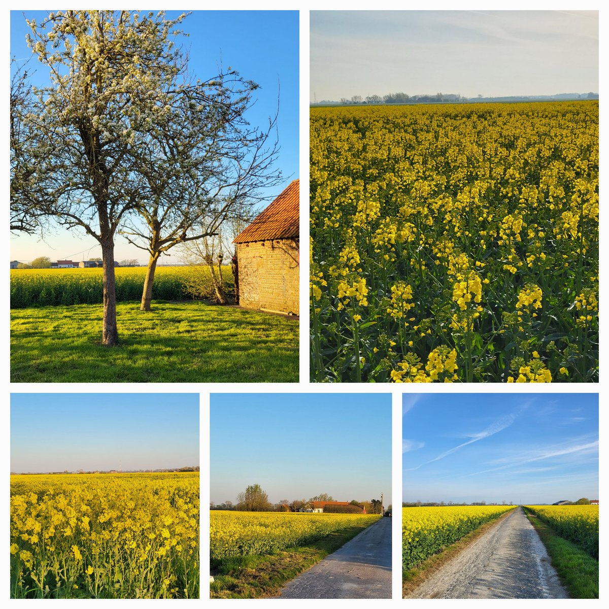 SHaecke's tweet photo. Ook al maken ze boeren onbetaalbaar, nu weet ik al 3 weken waarom......
Dat zicht..........................is nu eenmaal onbetaalbaar!#akker https://t.co/qEtfmw9zmy