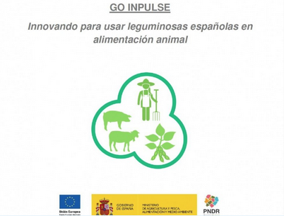 #MATERIASPRIMAS | El grupo operativo INPULSE y GENVCE reactivan la red de ensayos de variedades de leguminosas

Ofrecen datos reales de adaptación de las variedades comercialmente disponibles a nuestras condiciones de suelo y clima

👉bit.ly/424eN0c