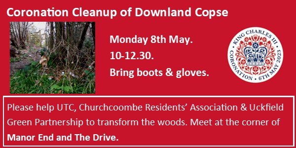 UGP_eco's tweet photo. Save the bluebells! Help UGP clean up woodlands on May 8th. #Uckfield #uckfieldgreenpartnership
https://t.co/ncO1yLHvbX https://t.co/1ZiUpNCOHD